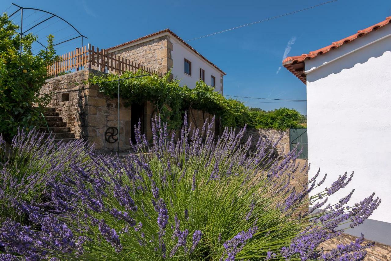 Quinta Do Acipreste Apartment Lamego Exterior photo