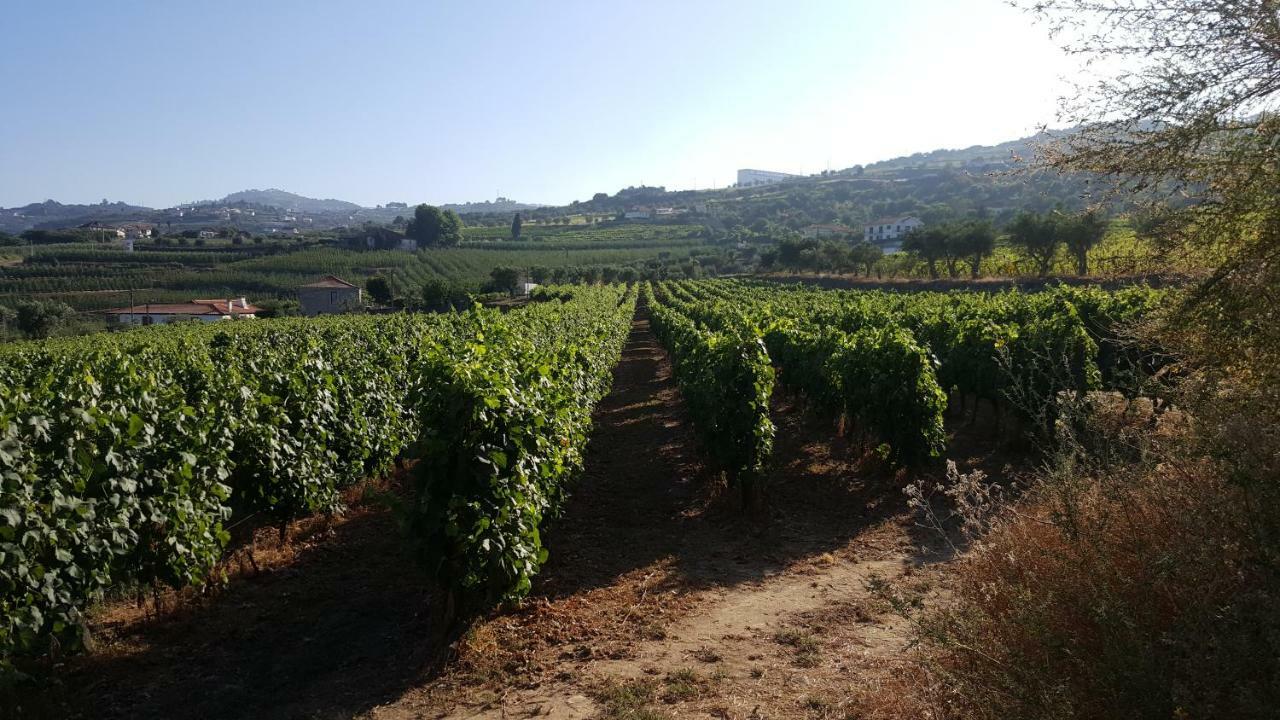 Quinta Do Acipreste Apartment Lamego Exterior photo