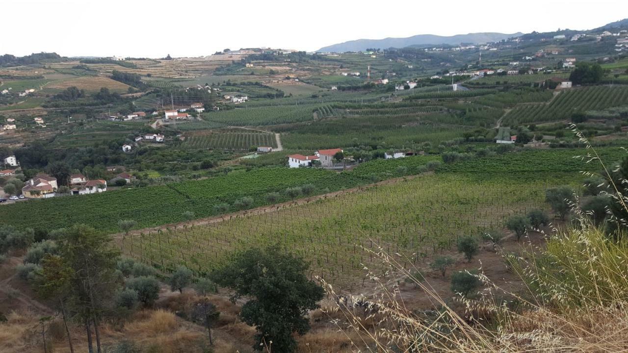 Quinta Do Acipreste Apartment Lamego Exterior photo